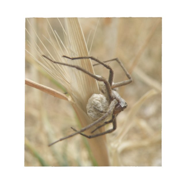 Bloc-notes Spider et Oeuf Sac (Devant)