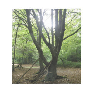 Bloc-notes Sunshine Woodland
