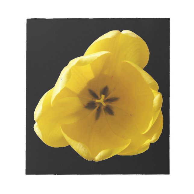 Bloc-notes Tulipe jaune (Devant)