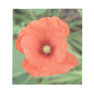 Bloc-notes Wild Poppy Flower