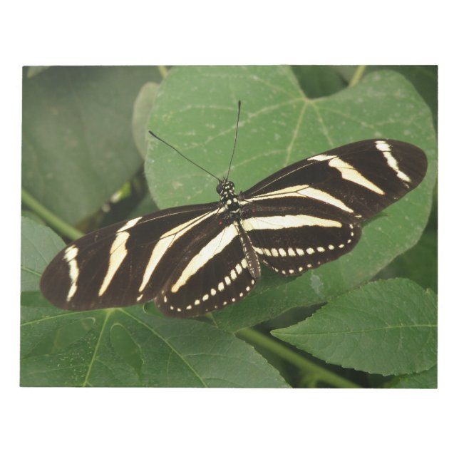 Bloc-notes Zebra Longwing Papillon (Devant)