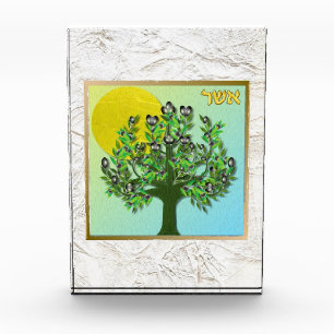 Bloc Photo 12 Tribus d'Israël Asher Art bloc acrylique