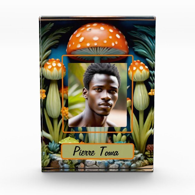 bloc photo 3d (Devant)