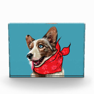 Bloc Photo Adorable Pembroke Welsh Corgi