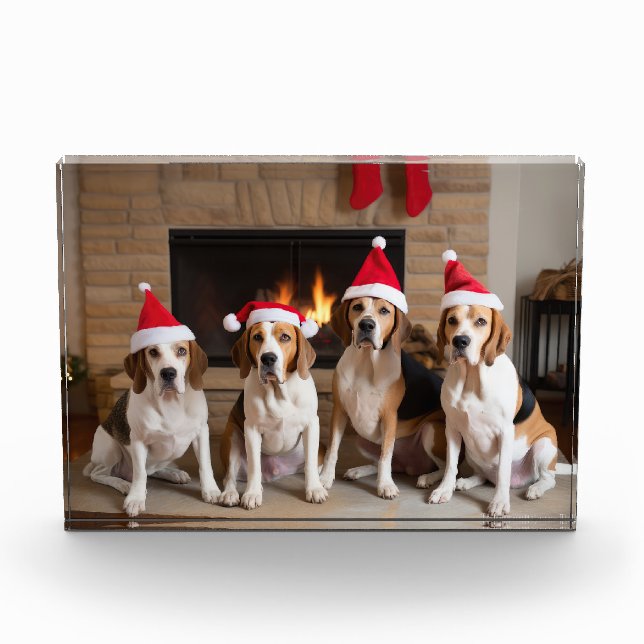Bloc Photo American English Foxhound Freplace Noël (Devant)