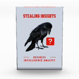 Bloc Photo Analyste en intelligence d'affaires Crow