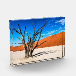 Bloc Photo Arbre mort à Deadvlei, Namibie