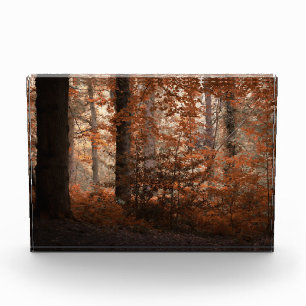 Bloc Photo Aube d'Automne