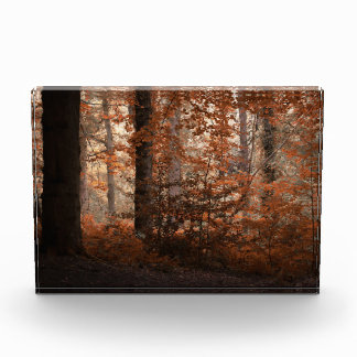 Bloc Photo Aube d'Automne