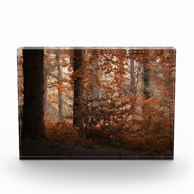 Bloc Photo Aube d'Automne (Devant)