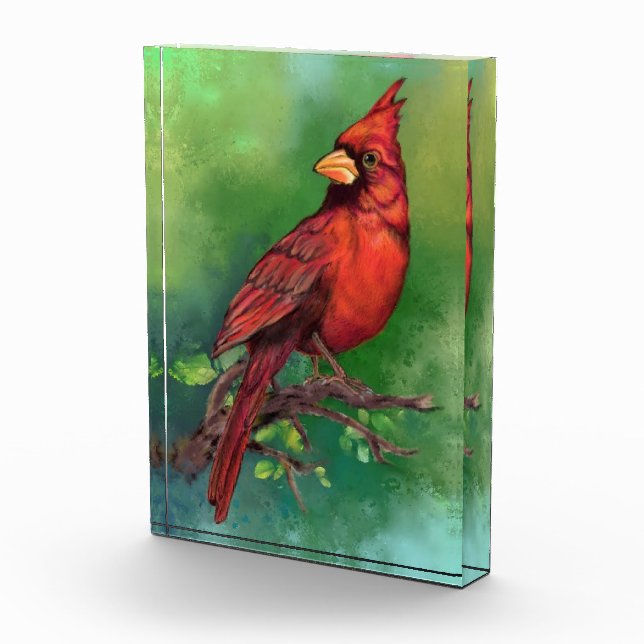 Bloc Photo Belle peinture d'oiseaux du Cardinal rouge du Nord (Droite)