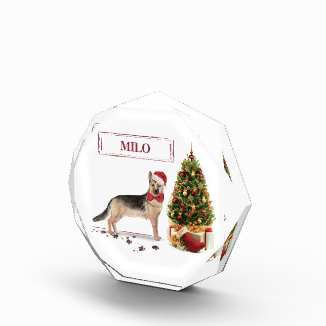Bloc Photo Berger allemand drôle Chien de Noël avec arbre (Droite)