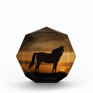 Bloc Photo Blocage photo d'art magnifique Horse