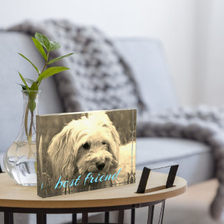 Bloc Photo Blocage photo pour chien meilleur ami