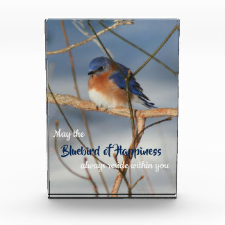 Bloc Photo Bluebird Of Happiness Inspiration