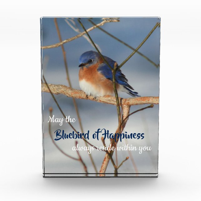 Bloc Photo Bluebird Of Happiness Inspiration (Devant)