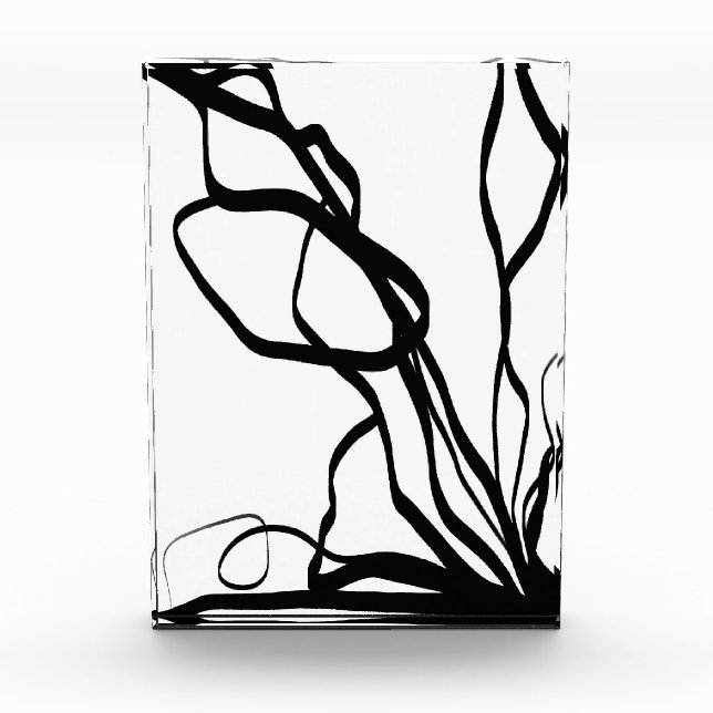 Bloc Photo Bouquet Blanc : Abstrait blanc & noir (Devant)