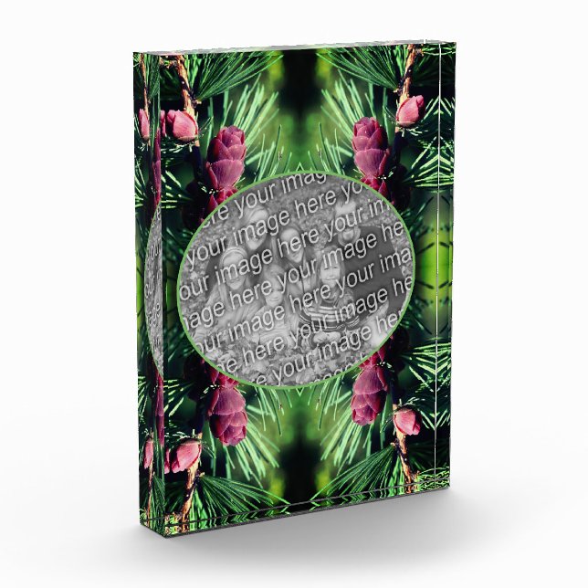 Bloc Photo Cadres de cônes de pin miniature Ajouter votre pro (Gauche)