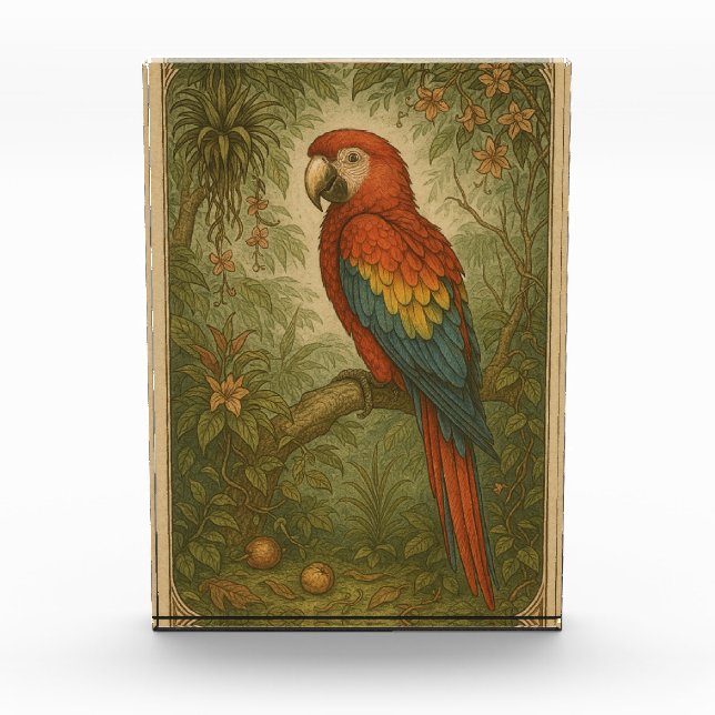 Bloc Photo Canopy Sentinel - Le Scarlet Macaw (Devant)