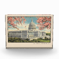 Carte postale Washington DC USA Capitol Cherry Blo