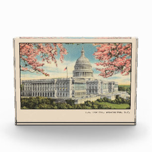 Bloc Photo Carte postale Washington DC USA Capitol Cherry Blo