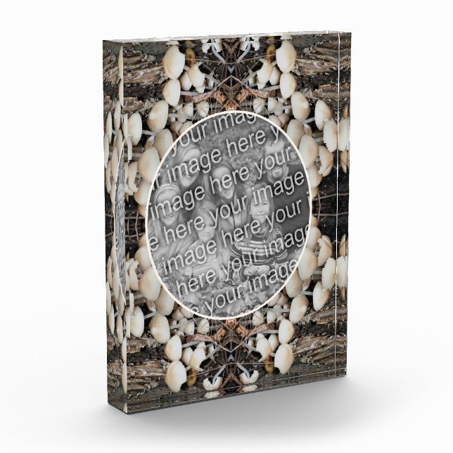 Bloc Photo Champignons sauvages blancs Nature Ajouter votre p (Gauche)