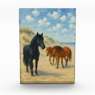 Bloc Photo Chevaux sauvages de Corolla Caroline du Nord Aquar