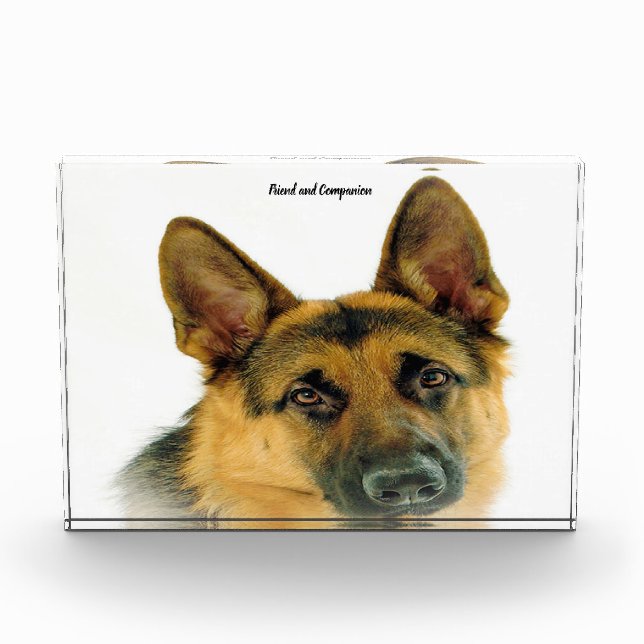 Bloc Photo Chien berger allemand. (Devant)