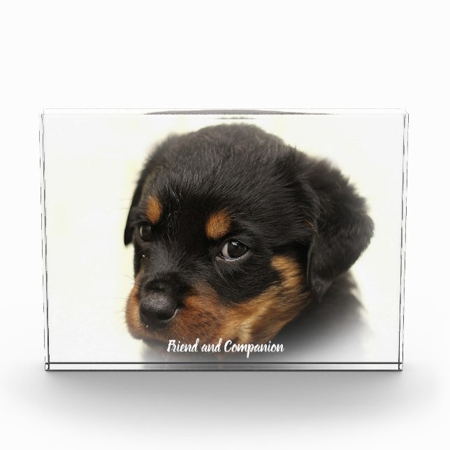 Bloc Photo Chien Rottweiler (Devant)