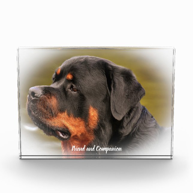 Bloc Photo Chien Rottweiler (Devant)