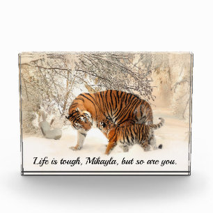 Bloc Photo Citation inspirante du tigre et de l'animal mère