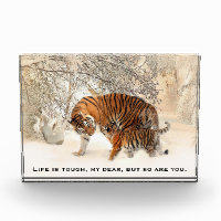 Citation inspirante du tigre et de l'enfant