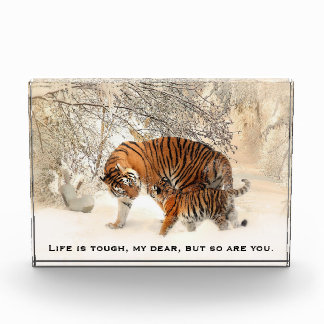 Bloc Photo Citation inspirante du tigre et de l'enfant