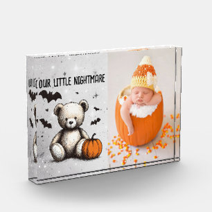 Bloc Photo Citrouille Teddy