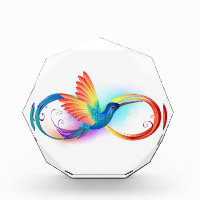 Colibri arc-en-ciel avec symbole Infinity