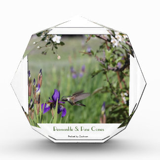 Bloc Photo Colibri se nourrissant d'iris pourpre en vol