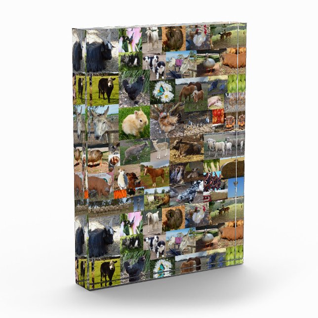 Bloc Photo Collage photo de la ferme, (Gauche)