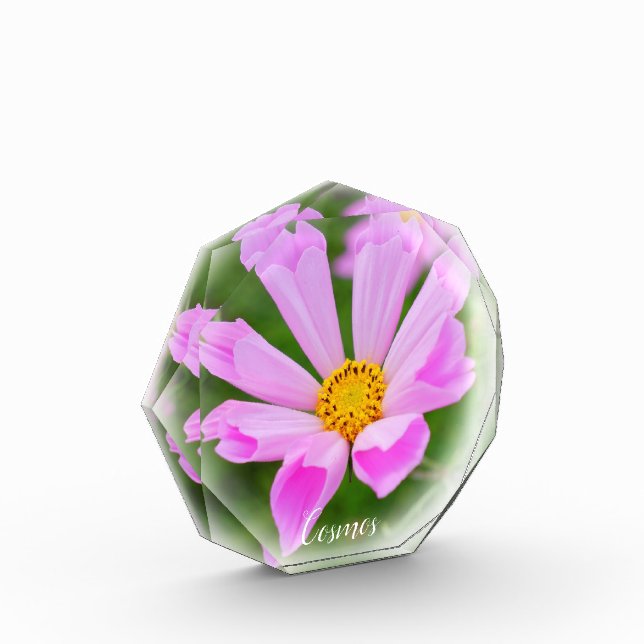 Bloc Photo Cosmos (Gauche)