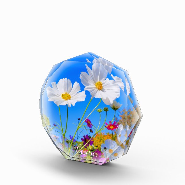 Bloc Photo Cosmos フォトブロック (Droite)