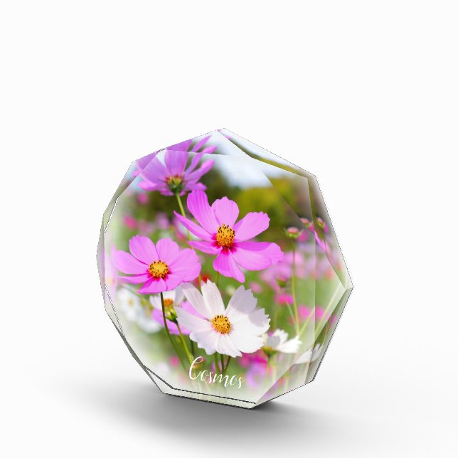 Bloc Photo Cosmos フォトブロック (Droite)