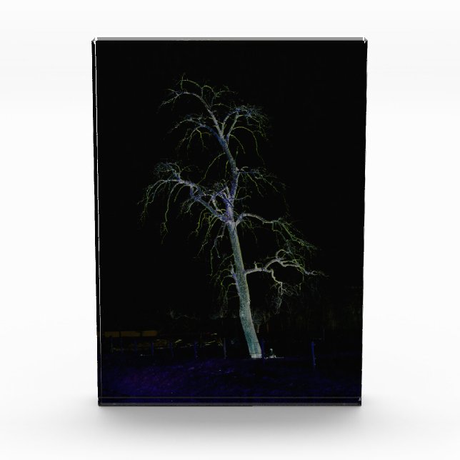 Bloc Photo Côté foncé 8 pbcna (Devant)