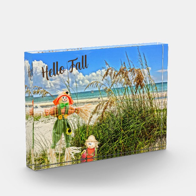 Bloc Photo Côte Sanibel Island Floride Plage & Scarecrow (Gauche)