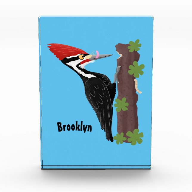 Bloc Photo Cue drôle Pileated woodpecker dessin d'illustratio (Devant)