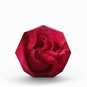 Bloc Photo Diamants Rouges