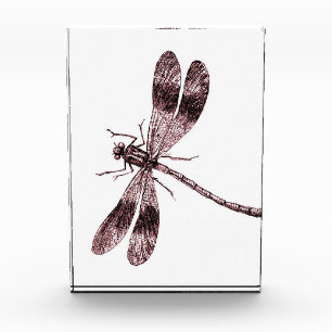 Bloc Photo Dragonfly vintage - Rouge