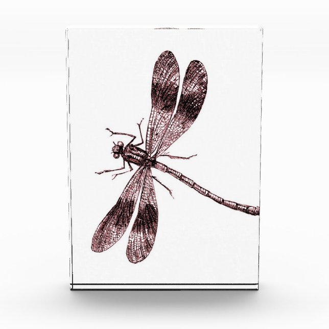 Bloc Photo Dragonfly vintage - Rouge (Devant)