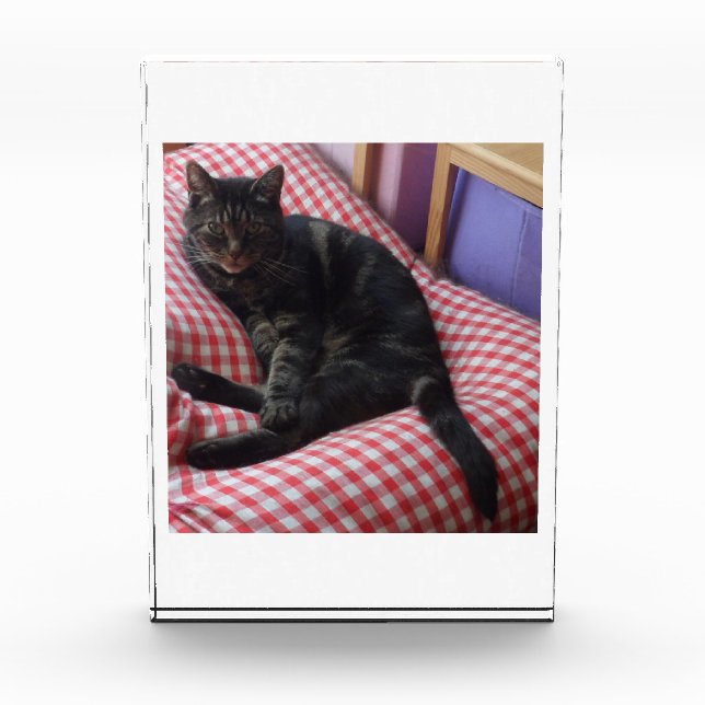 Bloc photo en acrylique mignon Dave (Devant)