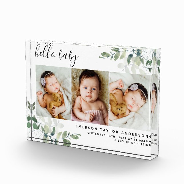 Bloc Photo Eucalyptus 3 Photo Bébé Statistiques de naissance (Droite)