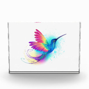 Bloc Photo Exotic Rainbow Hummingbird