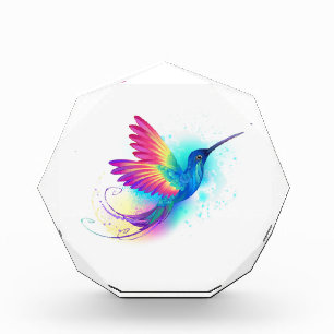 Bloc Photo Exotic Rainbow Hummingbird